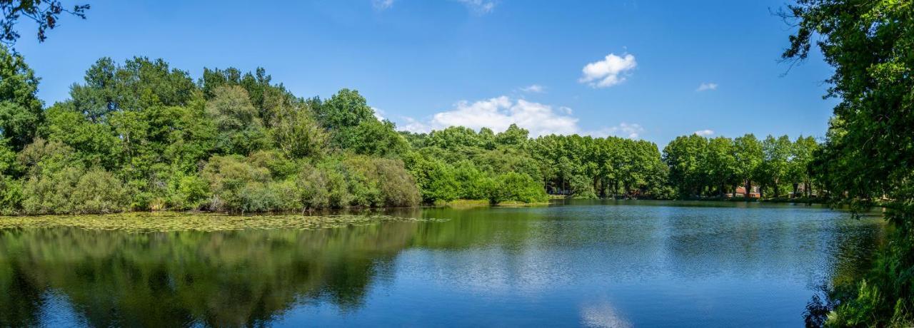 Camping L'Etang D'Ardy *** Saint-Paul-lès-Dax Buitenkant foto