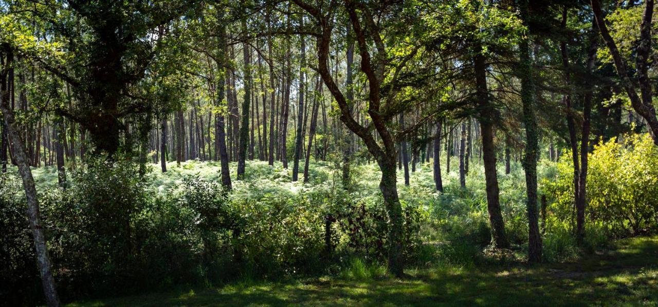 Camping L'Etang D'Ardy *** Saint-Paul-lès-Dax Buitenkant foto