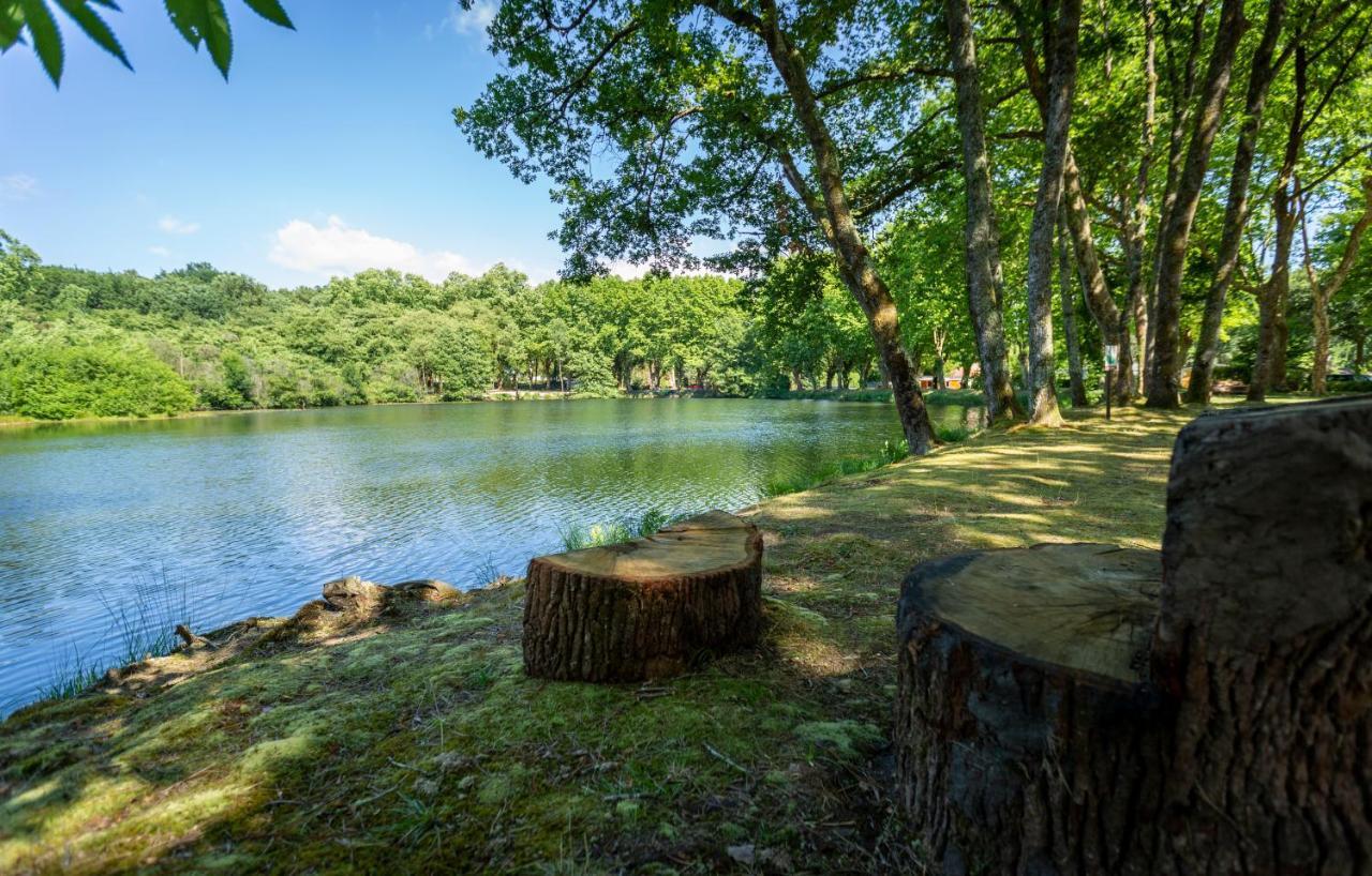 Camping L'Etang D'Ardy *** Saint-Paul-lès-Dax Buitenkant foto