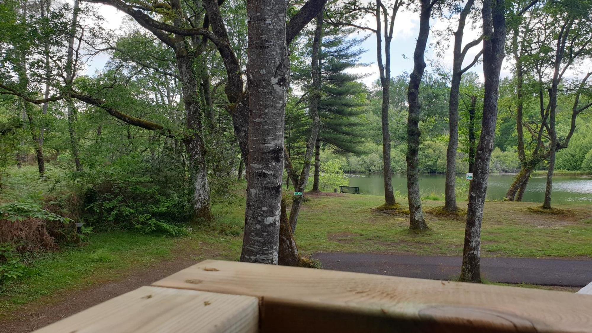 Camping L'Etang D'Ardy *** Saint-Paul-lès-Dax Buitenkant foto